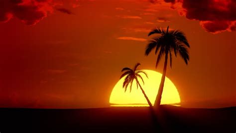 Stock Video Of Time Lapse Tropical Sunrise With Palm Trees 2293430