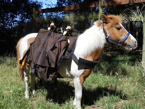 Mini Horse Pack Saddle Large Adjustable