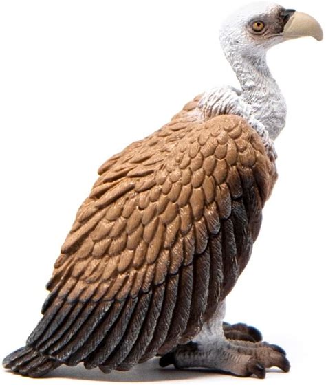 Buy Schleich Vulture At Mighty Ape Australia