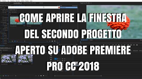 Adobe prelude cc 2018 supports a wide variety of cameras which includes panasonic, sony and nikon to name a few. Come abilitare la finestra del secondo progetto aperto su ...