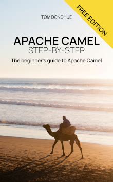 We have to use processor in the middle of a route to redirect camel flow to process method. Apache Camel Tutorial | Tom Donohue