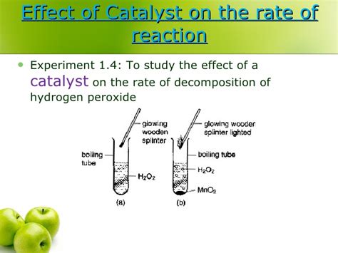 Explain using scientific reasoning for your prediction). 1.4 rate of reaction(1.2d)...biology