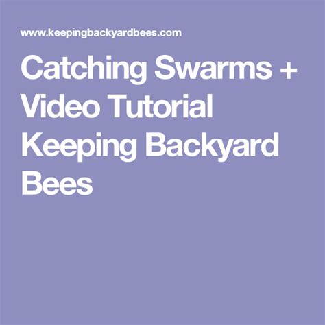 Catching Swarms Video Tutorial Keeping Backyard Bees Backyard Bee
