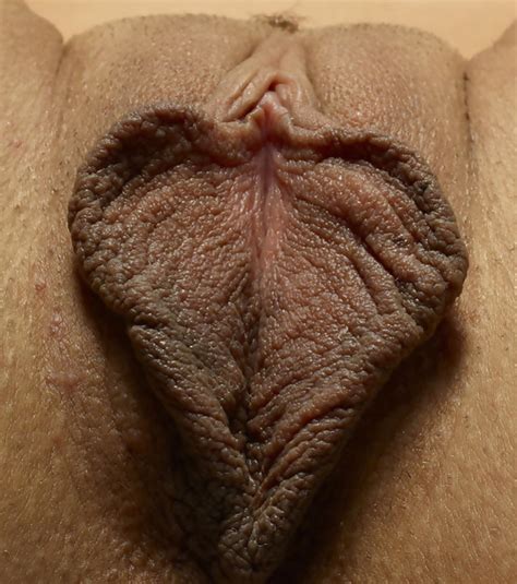 Hot Pussy Lips Photos Pic Of 57