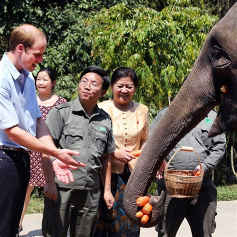 Prince William Praised By Chinese Internet Users For Tough Stance On
