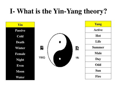 Yin And Yang Theory