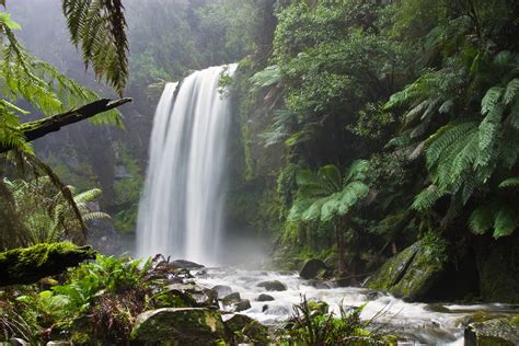 Environment plays an important role in healthy living and the existence of life on planet earth. Natural Resource Depletion