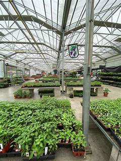 Craigslist S Garden Marketplace Connect With Local Nurseries And Plant Sellers