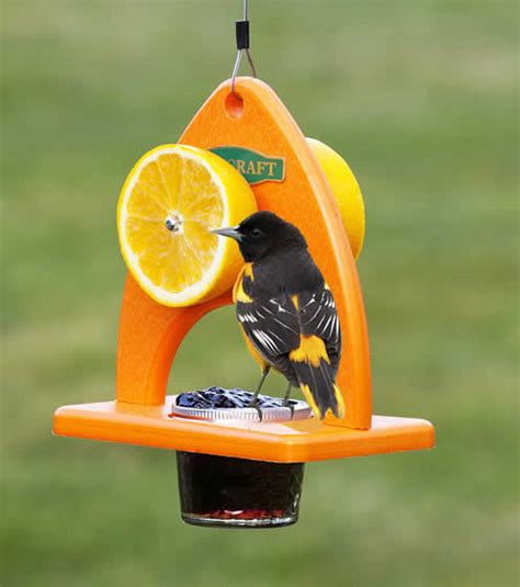 Bookshelf Design Malaysia, Baltimore Oriole Bird Feeder Plans, Plans