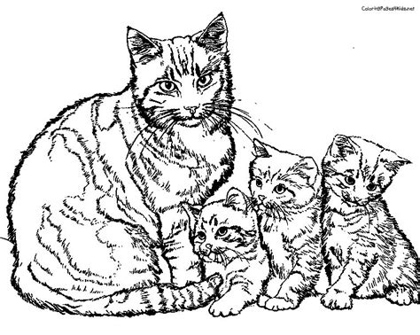 Verstopfung tritt bei katzen recht häufig auf und kann verschiedene ursachen haben. KonaBeun - zum ausdrucken ausmalbilder katze - #19383