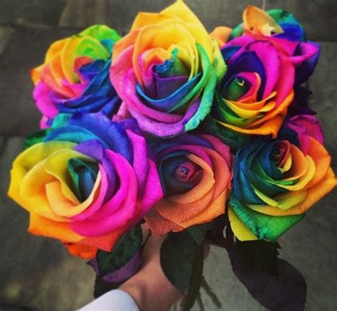 Single Rainbow Rose Is So Simple Yet Effective Rainbow Roses