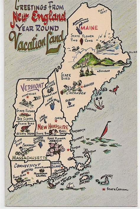 Greetings From New England Vacation Land Vintage Map Postcard Maine
