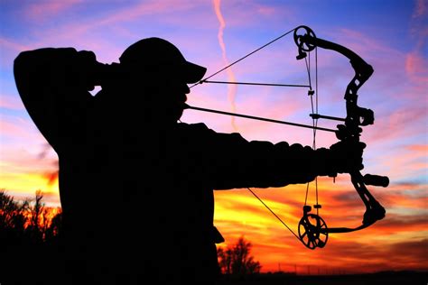 Archery And Bow Range Archery Shop Texas Archery