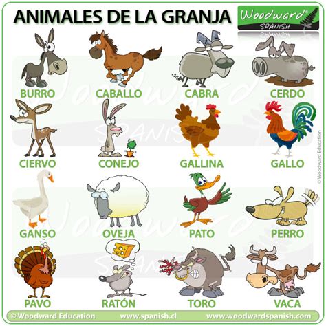 Arriba 99 Foto Nombres De Animales En Ingles Y Español Con Imagenes Lleno
