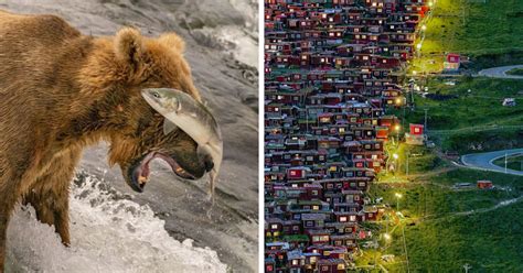 26 Breathtaking Winning Pictures Of This Years National Geographics