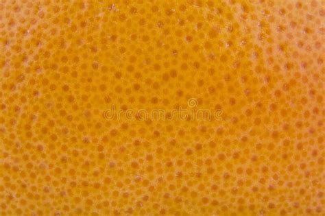 The Skin Of An Orange On A Black Background Stock Photo Image Of