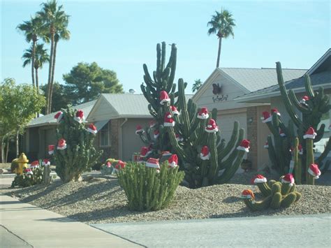 Your desert christmas tree stock images are ready. Getting in the spirit in Sun City Grand