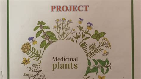 Medicinal Plants And Their Uses Project Project Medicinalplants Youtube