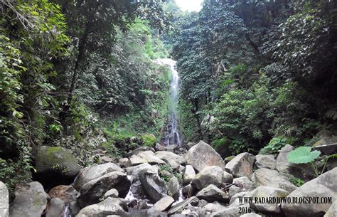 We did not find results for: Air Terjun Suwono, Pesona Tersembunyi di Ngawi - Tempat.me
