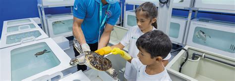 Junior Marine Biologist Program The National Aquarium