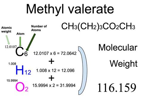 Methyl Valerate Methyl Pentanoate Ch3ch23co2ch3 Molecular Weight