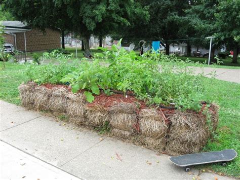 Gardening In Straw Bales Full Tutorial Food Garden Garden Soil Easy