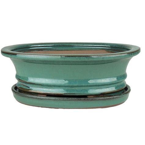 Ceramic Bonsai Pots Repotme