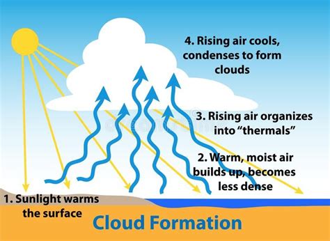 Cloud Formation As Thermals Form Cloud Formation Science Diagram How