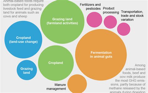 Here S How Much Food Contributes To Climate Change Scientific American