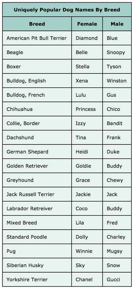 Here is a list of the best 100 female jack russell terrier dog names. Uniquely popular dog names by breed in nyc. jack russell ...
