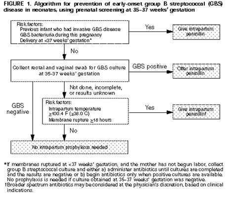 Prevention Of Perinatal Group B Streptococcal Disease A Public Health Perspective