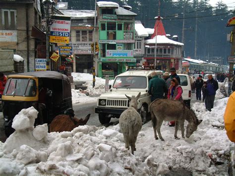 Places manali, himachal pradesh himachal helicopter skiing posts. Heli-Skiing | Himachal | India
