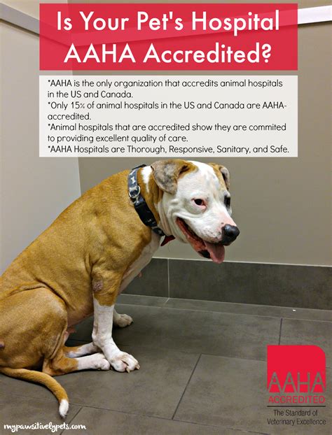 You can see how to get to healthy pets animal hospital on our website. Is Your Pet's Hospital AAHA-Accredited? (With images ...