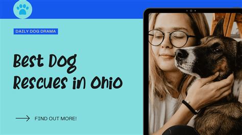 20 Best Dog Rescues In Ohio Dailydogdrama