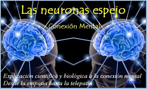 Violetas Neuronas Espejo EmpatÍa Y Conducta Humana