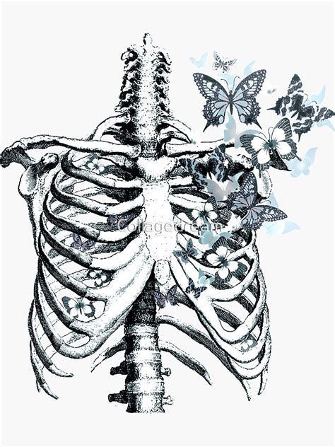 Anatomy Ribcage Rib Cage Butterflies Sticker For Sale By