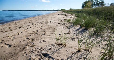 Maybe you would like to learn more about one of these? Port Crescent Campground, Port Crescent, MI: 4 Photos