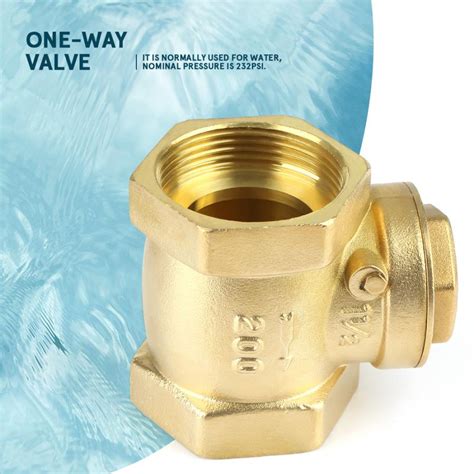 Industrial And Scientific Zyl Yl Check Valve Dn40 Bsp 1 12 Swing Type