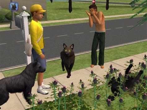 The Sims 2 Petssims 2 Pets The News Guides Walkthrough