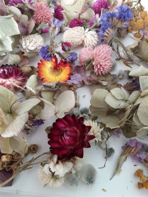 Drying and preserving flowers for resin. Tiny dried flowersMix dry flowersflowers for resin | Etsy ...