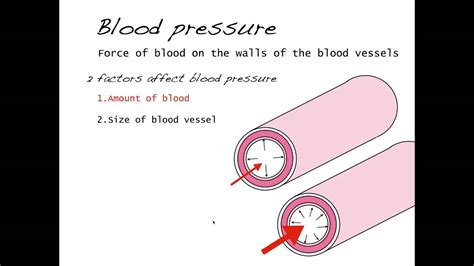 Pressure Volume Relationships Blood Vessels And Lungs Youtube