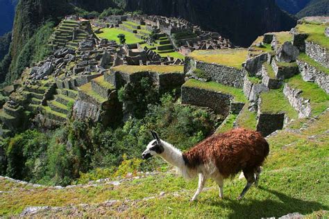 20 Machu Picchu Facts You Should Know Peru For Less