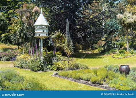 Stylish English Garden Stock Photo Image Of Herb Background 56360528