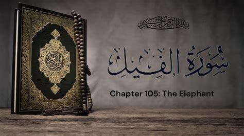 Surah Al Fil Chapter 105 The Elephant Urdu Translation Mishary