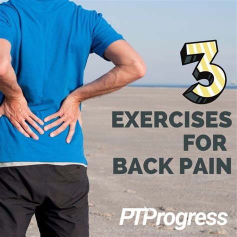 Mcgill Big 3 Exercises For Back Pain