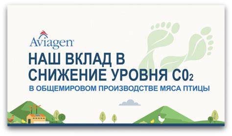 Экологически сбалансированная селекция – Aviagen демонстрирует снижение ...