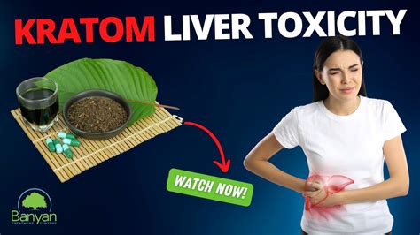 Kratom Liver Toxicity - YouTube
