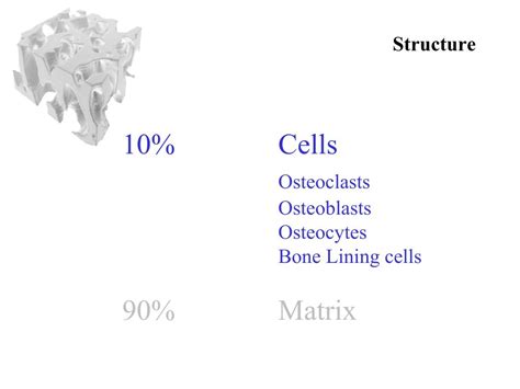 Ppt Bone Function Structure Powerpoint Presentation Free Download