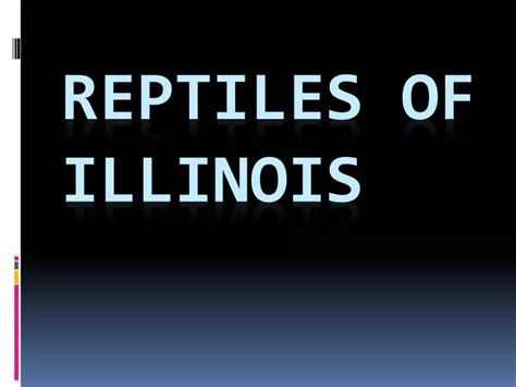 Ppt Reptiles Of Illinois Powerpoint Presentation Free Download Id