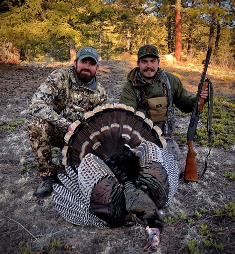 A Once In A Lifetime Colorado Merriams Turkey Hunt